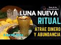 RITUAL LUNA NUEVA EN TAURO ✨ 8 MAYO 2024 ✨  RITUAL PARA ATRAER DINERO Y ABUNDNACIA ✨ Seres de luz