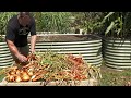 Grow Mixed Onion Varieties in One Raised Garden Bed