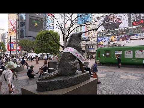 Βίντεο: Πότε δυτικοποιήθηκε η Ιαπωνία;