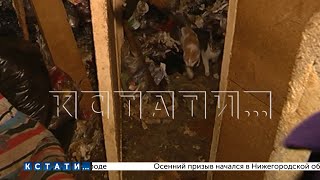 Свою квартиру в помойку с десятками полуживых кошек, превратила жительница Сормовского района