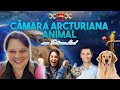 Cura na cmara arcturiana animal com tatiana leal  290424