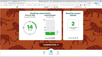 Checking Minutes  Moby Max & iReady