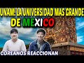 COREANOS REACCIONAN a UNAM LA UNIVERSIDAD MÁS GRANDE DE MÉXICO Y LATINOAMÉRICAㅣ REACCIÓN a MÉXICO