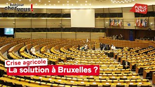 Crise agricole : la solution à Bruxelles ?
