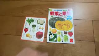 ハッピーセット　図鑑　野菜と果物