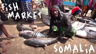 Inside Mogadishu's Biggest Fish Market! 🇸🇴