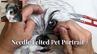 Needle Felted Pet Portrait  full process of making a detailed drawing.