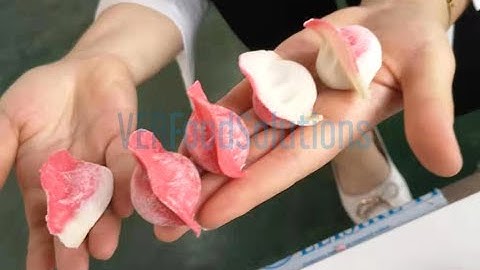 25gram Imitation Handmade Dumpling Machine for Australia Customer