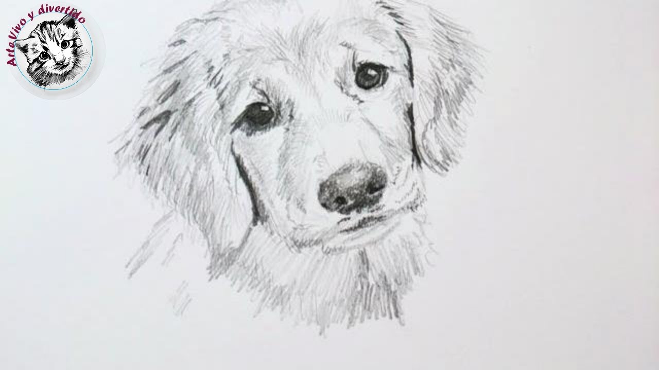 Tips y Trucos de Dibujo con Lapiz | Cómo Dibujar un Perro (audio completo y  mejorado) - thptnganamst.edu.vn