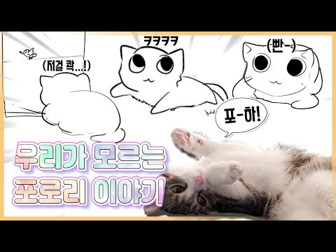 방송에선 본 적 없는 포로리 얘기 들려줄게