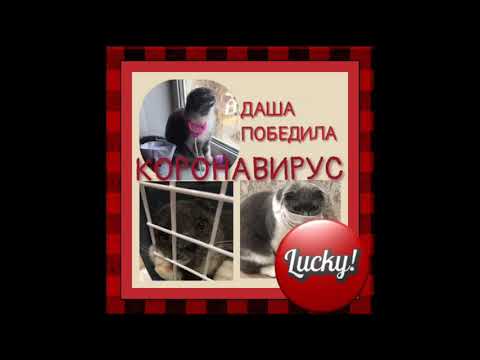 Кошка и Коронавирус!!! Как Справится с Коронавирусом!!!Советы !!!
