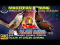 Masteran Cililin vs Ciblek Gunung Ngebren _ masteran segala burung kicau