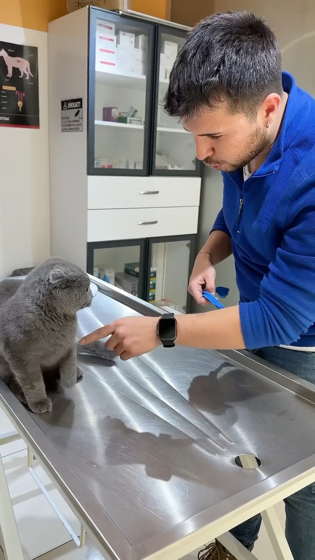 #JasonDeruloTV // Mad Kitten At Vet ?? From @vetpati #SlowLow