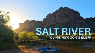 Lower Salt River Adventure  Wild Horses, Kayaking & Climbing
