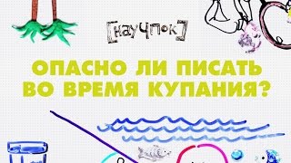 Опасно ли писать во время купания?(Смотри Научпок на Карамбе! http://carambatv.ru/cartoons/science Вступай в нашу группу ВК! http://vk.com/nowchpok., 2014-09-12T16:57:49.000Z)