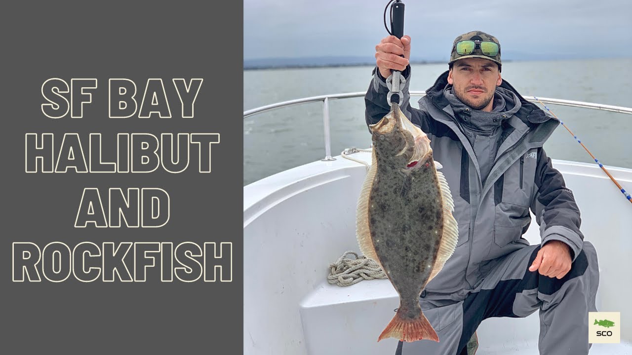 Drifting for HALIBUT in the SF Bay 