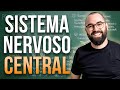 Sistema Nervoso Central - Aula 36 - Módulo 7: Fisiologia Humana