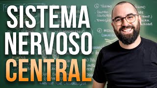 Sistema Nervoso Central - Aula 36 - Módulo 7: Fisiologia Humana