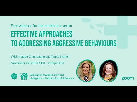 Effective Approaches to Addressing Aggressive Behaviours - Healthcare Sector