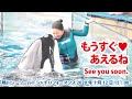 もうすぐ♥あえるね　See you soon.  Killer whale performance, Kamogawa Sea World, Japan【2020年1月12日15:00　鴨川シーワー