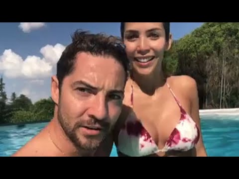 Video: David Bisbal Vermögen: Wiki, Verheiratet, Familie, Hochzeit, Gehalt, Geschwister