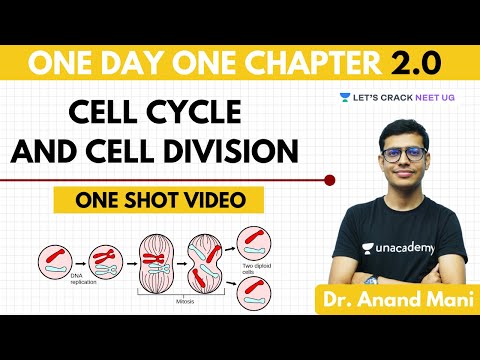cell-cycle-and-cell-division-|-one-day-one-chapter-|-neet-biology-|-neet-2020