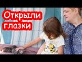 VLOG ПЦР готов. Котята открыли глазки. Заселили семью в домик