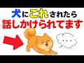 【9割が知らない!!】わんこが話しかける時にする１０の行動｜犬の厳選雑学