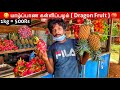 Jaffna Dragon Fruit | Jaffna fruit Shop Tour | Jaffna Suthan