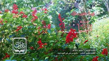 تلاوات | أواخر سورة النبأ - القارئ سعيد الخطيب ١٤٤٠ هـ
