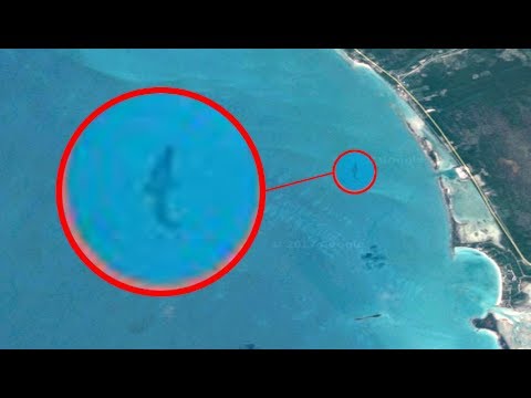 Giant Megalodon Captured By Google Earth? | Real Megalodon - YouTube