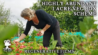 Self-Sufficient Grower Feeds 20 Families on Only 0.5 Acres | Regenerative Films