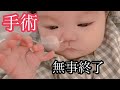 【二分脊椎】【4pマイナス症候群】ピナちゃん手術無事終了しました!
