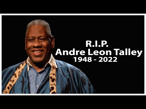 Video: Andre Johnson Net Worth