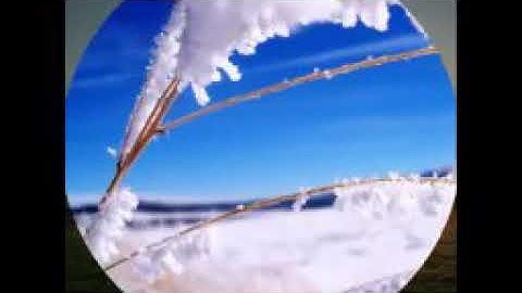 سورة ناس بصوت نعمه الحسان