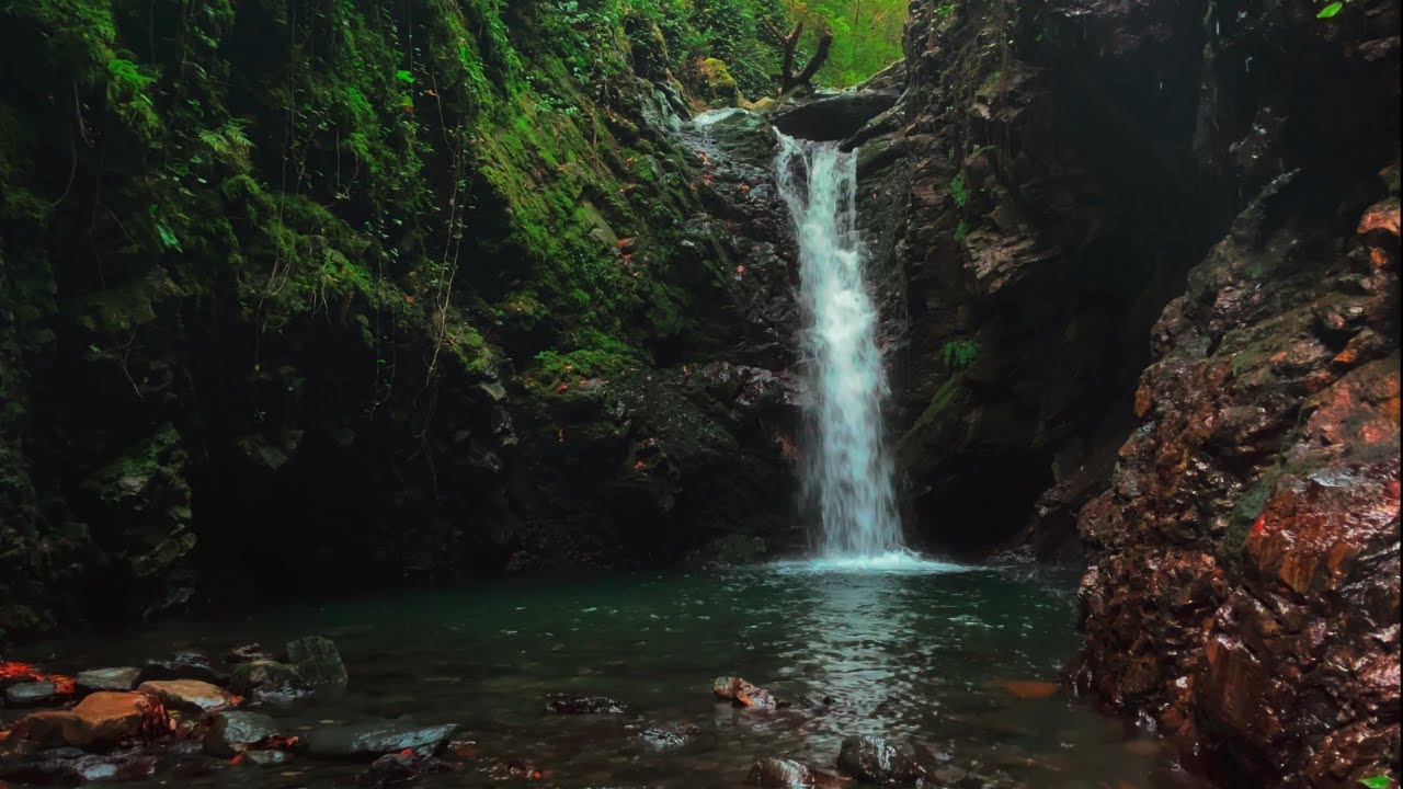 Peaceful Forest Waterfall 🌿 Relaxing Nature Sounds for Focus & Calm (3 Hours)