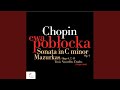 Miniature de la vidéo de la chanson Piano Sonata No. 1 In C Minor, Op. 4: I. Allegro Maestoso