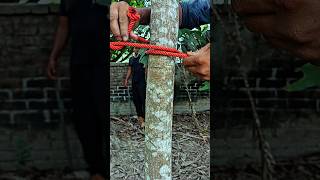 Smart Rope Knot Hack 🔥