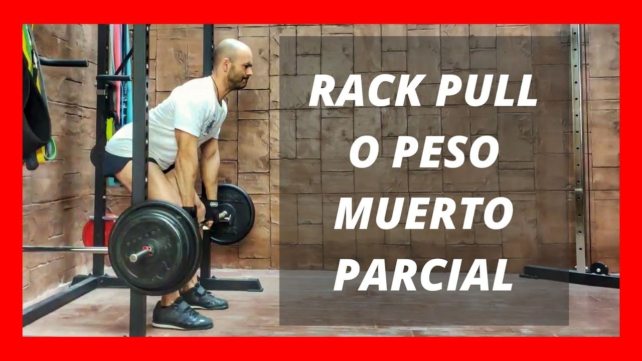 Peso Muerto o Dead lift el ejecicio más completo ⋆ Tu Gimnasio en