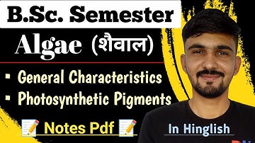 Algae General Characteristics & Classification || Algae || Bsc Semester || By Dadhich Sir
