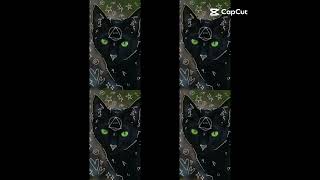 #infinite #cat #lynx #wolf