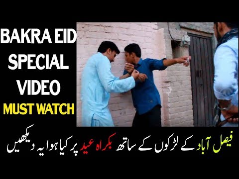فیصل آباد کے لڑکوں کے ساتھ بکراہ عید پر کیا ہوا یہ دیکھیں
