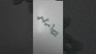 Simple And Fancy Bottom Design