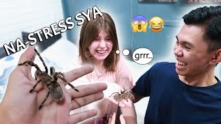 TINANONG KO SI VIKA KUNG PWEDE AKO MAG ALAGA NG TARANTULA