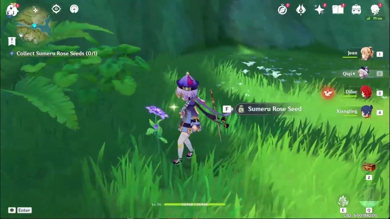 Collect Sumeru Rose Seeds Genshin Impact YouTube
