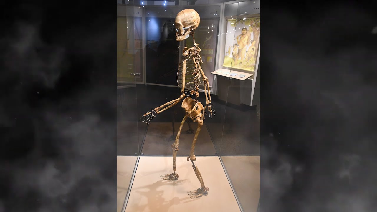 【琉球サウダーヂ】琉球を巡る水　第三話「雄樋川と古代人」