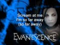 Evanescence - Going under [with Lyrics]