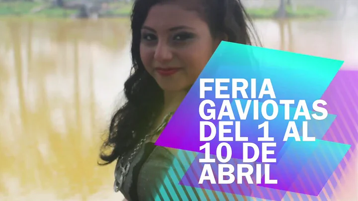 Feria Gaviotas 2016 Cecilia Peraza