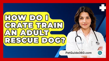 How Do I Crate Train An Adult Rescue Dog? - PetGuide360.com