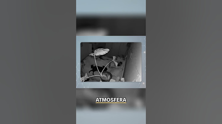 Tremor de 5.3 Graus Atinge Portugal: O Que Aconteceu?